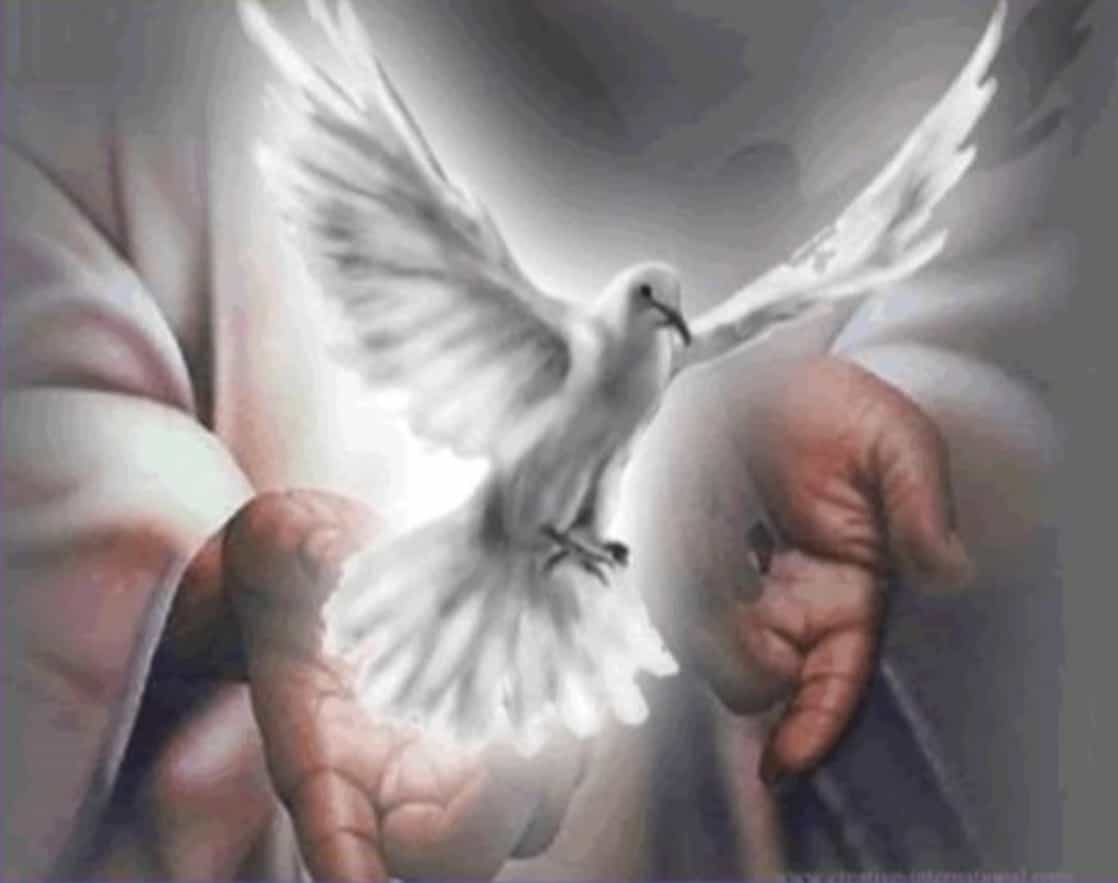 Наказание любовью