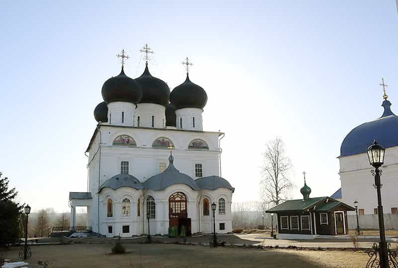 Празднование Входа Господня в Иерусалим в Свято-Успенском кафедральном соборе
