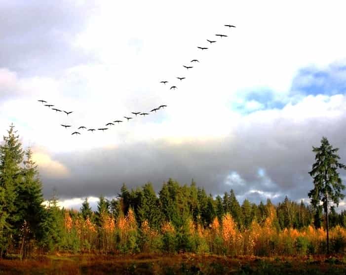 Алеша и Света. Рассказ