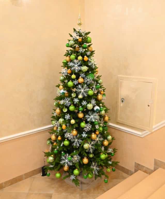 Новый год имеет свое великое начало