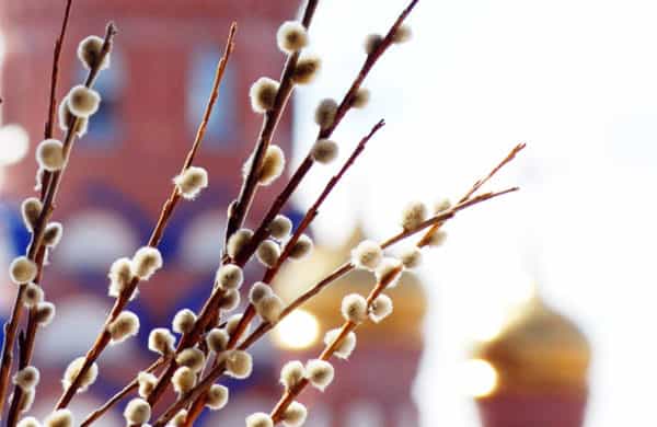 Рекомендации по посещению храмов в праздник Вход Господень в Иерусалим, на Страстной седмице и в день Светлого Христова Воскресения