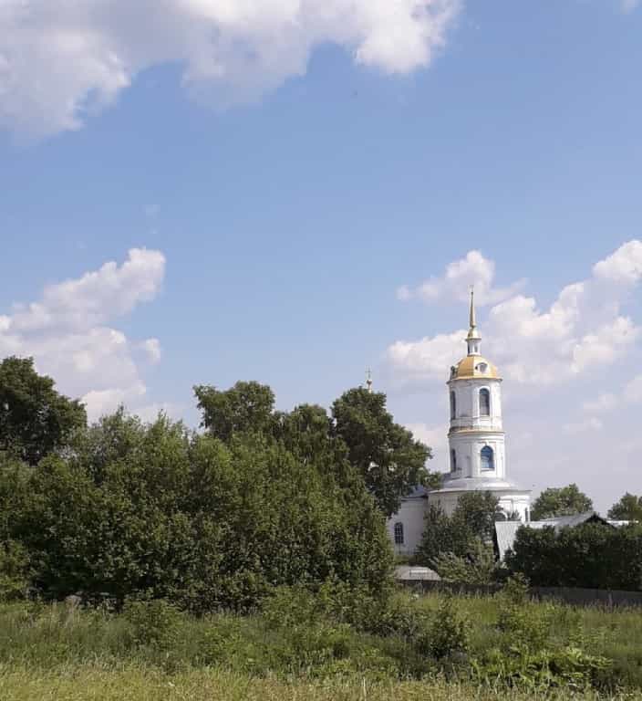 Праздник в честь иконы Божией Матери «Достойно Есть» в селе Юрьево