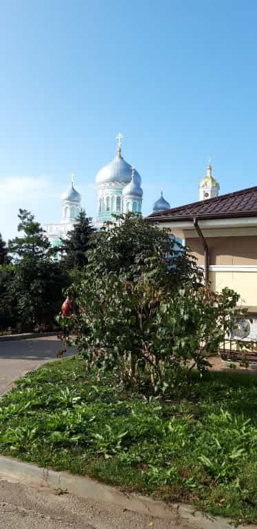 Состоялась паломническая поездка в Дивеево