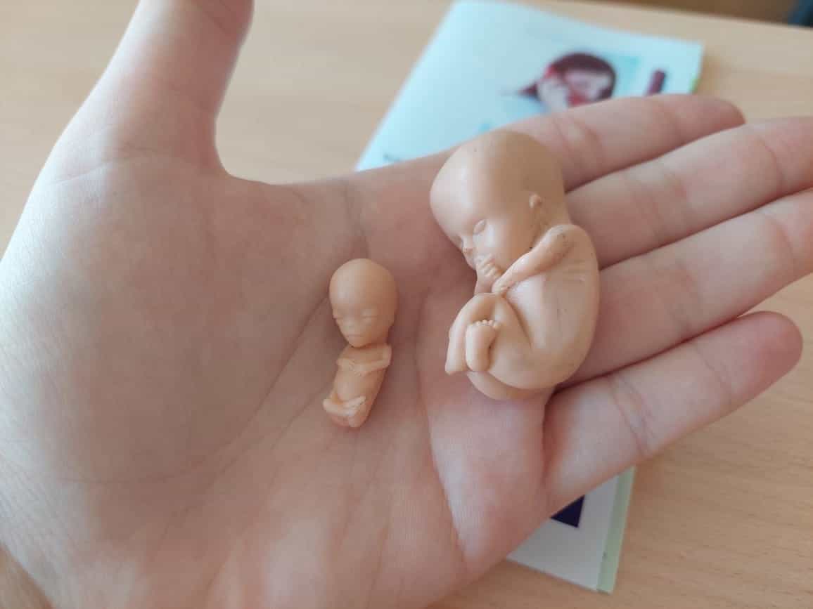 Итоги проекта «Разговор о любви»