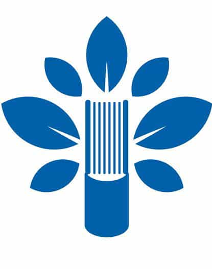 Состоятся VIII межрегиональные Благовещенские образовательные чтения