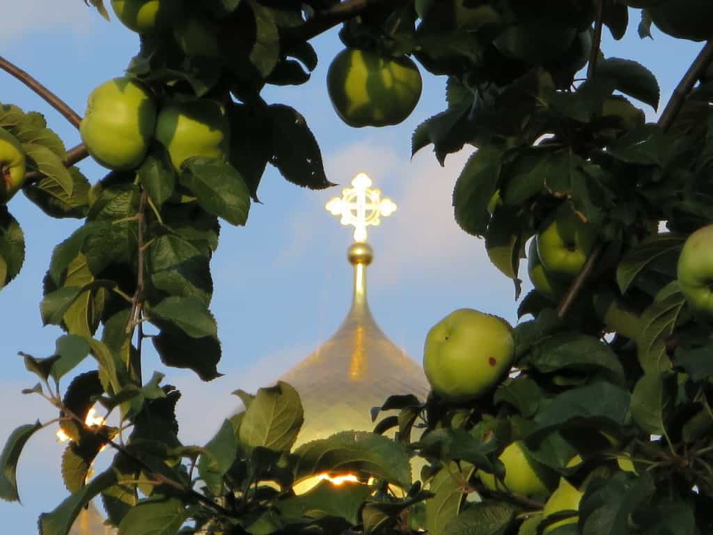 «От яблок ко Христу. Преобразившись, мы выходим в мир. И этот праздник ставит Его в центр нашей жизни»