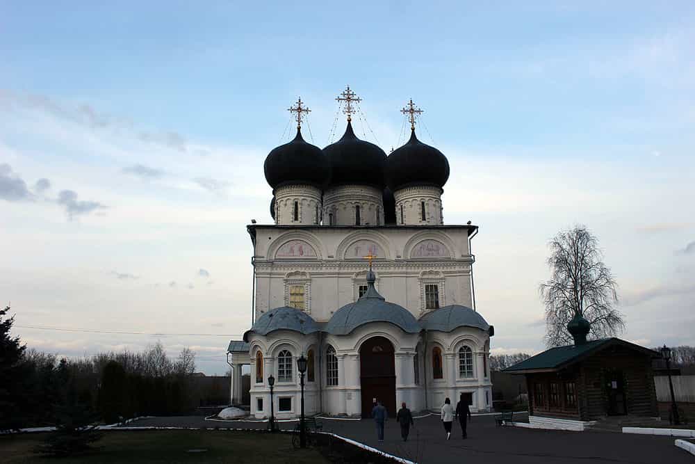 Чин освящения вербы в Свято-Успенском кафедральном соборе
