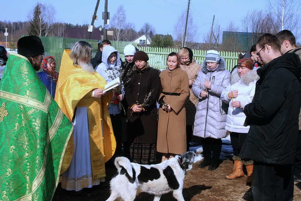Миссионерская поездка в село Трехречье