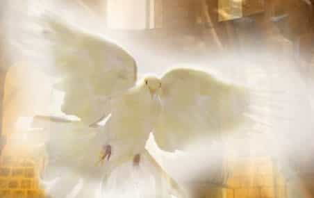 Православные отмечают день Святого Духа